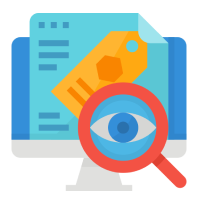 IT Audit Service